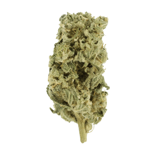 Romulan Hashplant | Kootenay Botanicals Canada