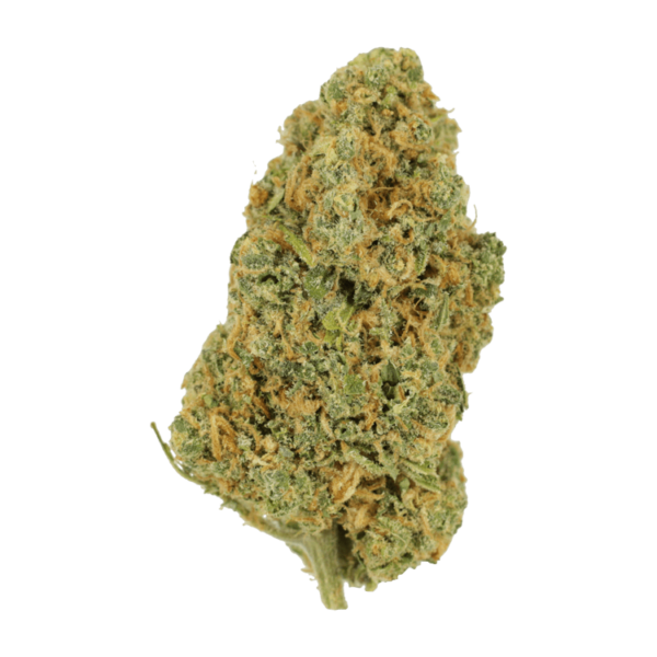 Lemon Bomb | Kootenay Botanicals Canada