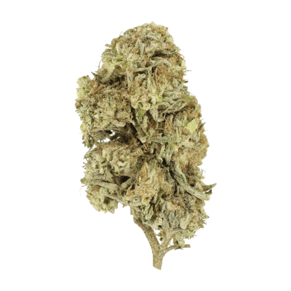 Cherry Wine (CBD) | Kootenay Botanicals Canada