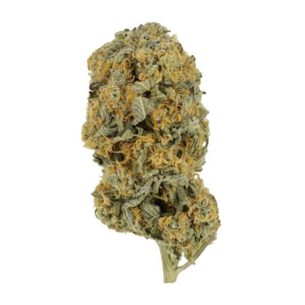 Sour Prince | Kootenay Botanicals Canada
