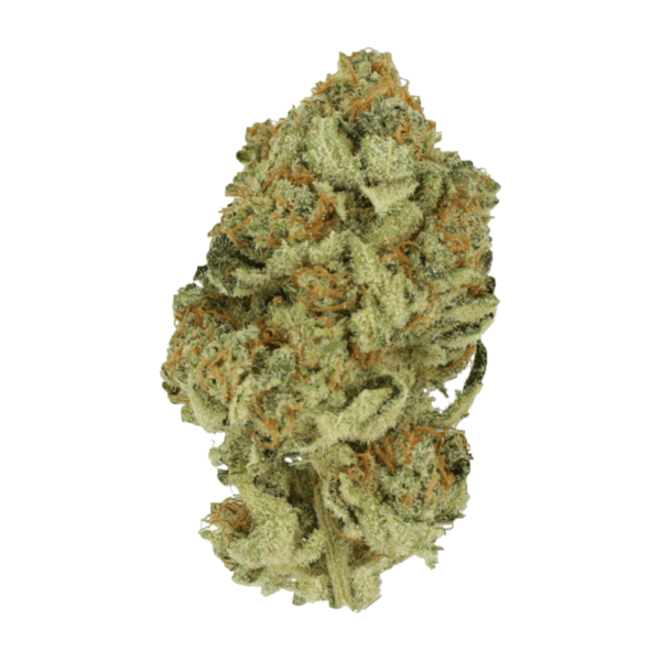 Black Cherry Punch | Kootenay Botanicals Canada
