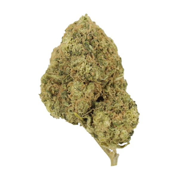 Mr Clean | Kootenay Botanicals Canada