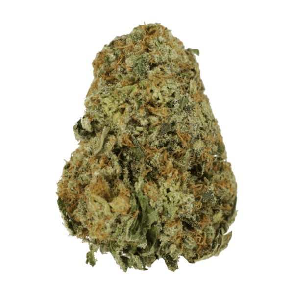High School Sweetheart | Kootenay Botanicals Canada