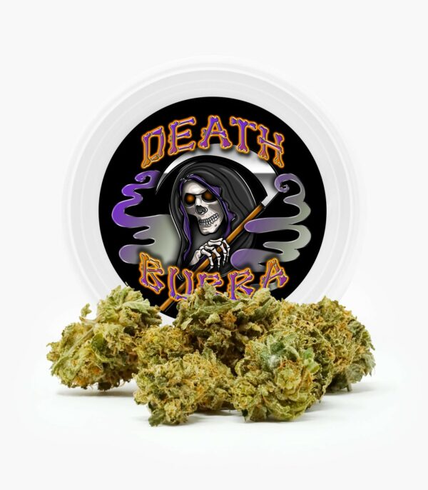 Westcoast Cali Tins – Premium Flower – Skywalker OG – 3.5g | Kootenay Botanicals Canada