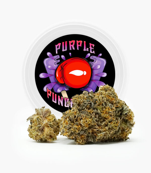 Westcoast Cali Tins – Premium Flower – Purple Punchsicle – 14g | Kootenay Botanicals Canada