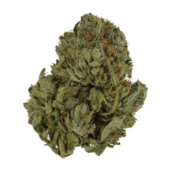 Salt Pot – Corn Nuts – 250mg THC | Kootenay Botanicals Canada