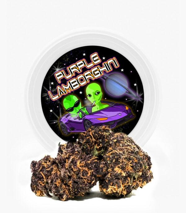 Westcoast Cali Tins – Premium Flower – Purple Lamborghini – 3.5g | Kootenay Botanicals Canada