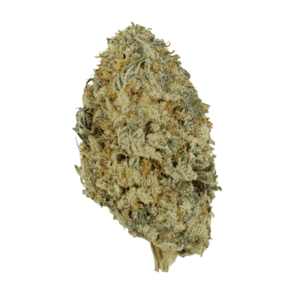 Donkey Butter | Kootenay Botanicals Canada