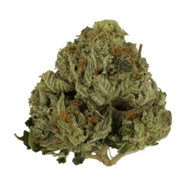 Pink Animal – 1 ounce | Kootenay Botanicals Canada