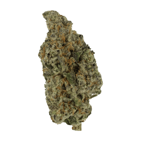 Biscotti Sundae | Kootenay Botanicals Canada