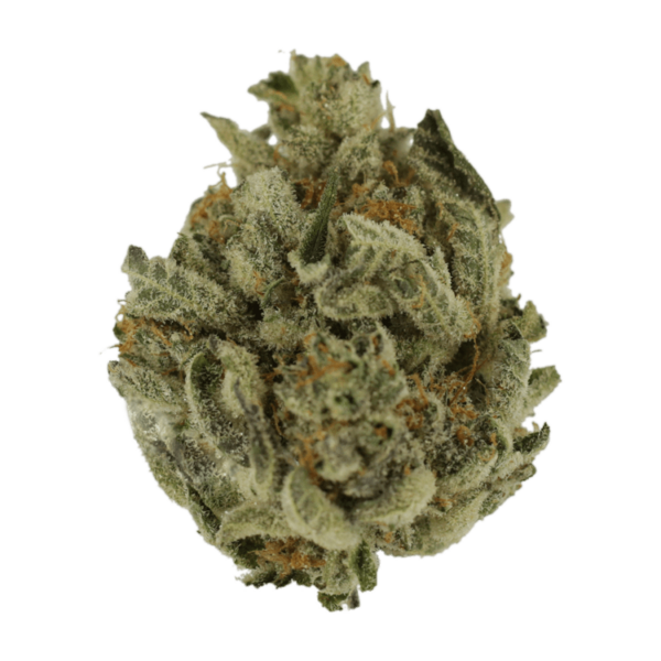 Biscotti Sundae | Kootenay Botanicals Canada