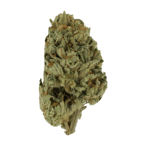 Biscotti Sundae | Kootenay Botanicals Canada