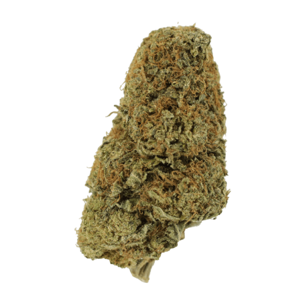 Sugar Pine | Kootenay Botanicals Canada