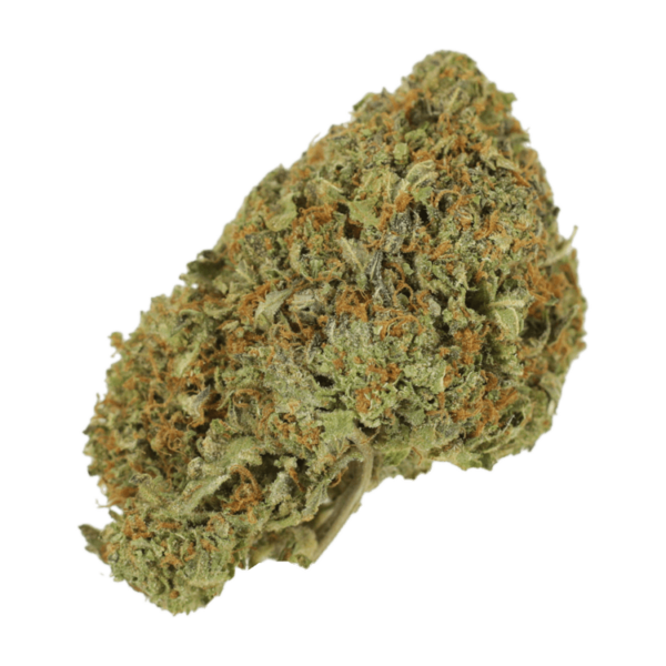 Garlic Breath – 1oz / $60 | Kootenay Botanicals Canada