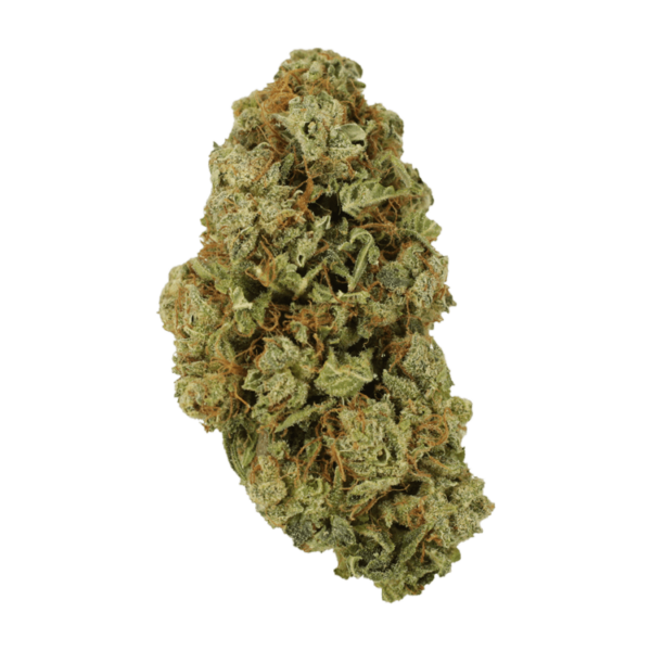 Sugar Pine | Kootenay Botanicals Canada