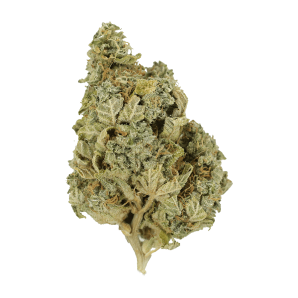 Khalifa Kush | Kootenay Botanicals Canada