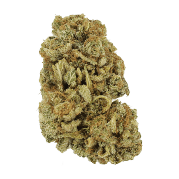 Blackwater | Kootenay Botanicals Canada