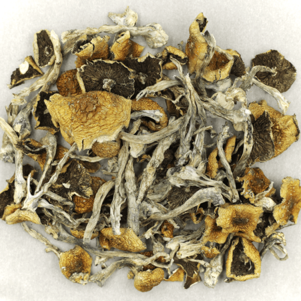 Florida White | Kootenay Botanicals Canada