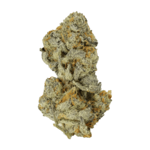 Bison Breath | Kootenay Botanicals Canada