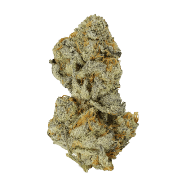 Bison Breath | Kootenay Botanicals Canada
