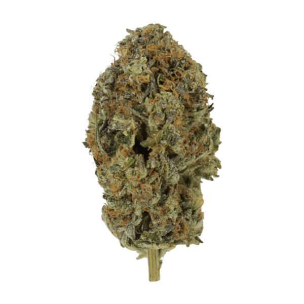 Acapulco Gold | Kootenay Botanicals Canada