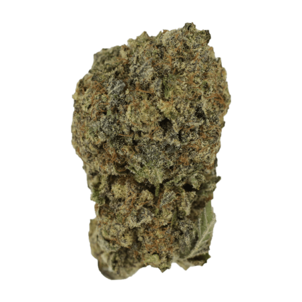 Blue Cookies | Kootenay Botanicals Canada