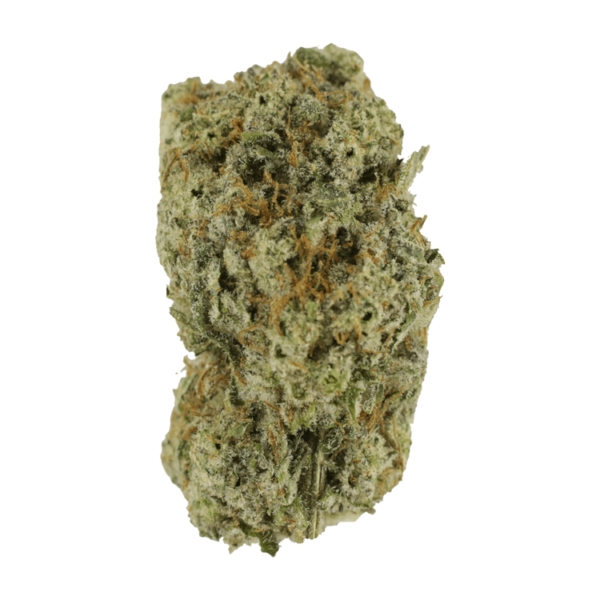 Eleven Roses | Kootenay Botanicals Canada