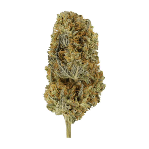 Headband | Kootenay Botanicals Canada