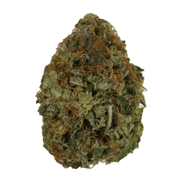 Orange Romulan | Kootenay Botanicals Canada