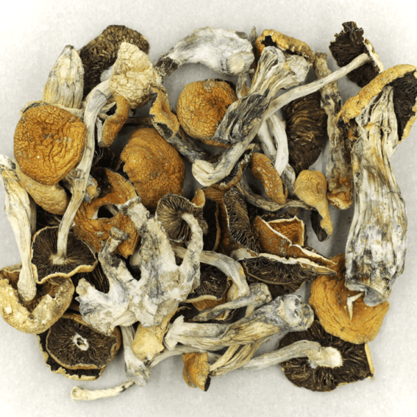 Puerto Rican | Kootenay Botanicals Canada