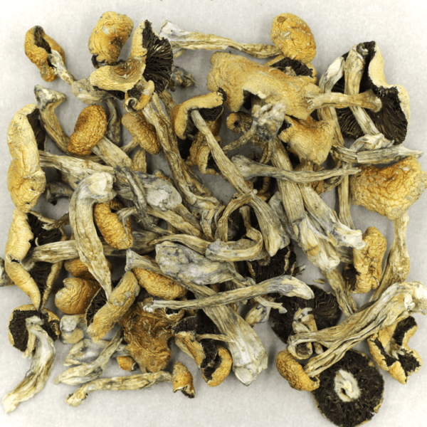 Puerto Rican | Kootenay Botanicals Canada