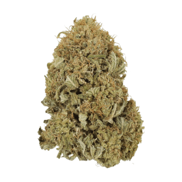 G13 | Kootenay Botanicals Canada