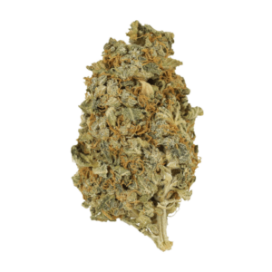 Mint Cookies | Kootenay Botanicals Canada