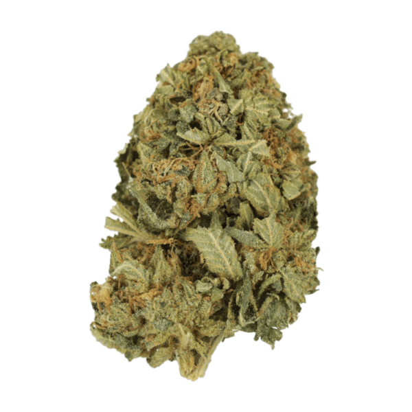 G13 | Kootenay Botanicals Canada