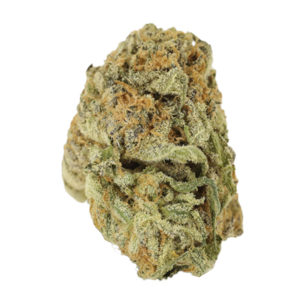 Mimosa Punch | Kootenay Botanicals Canada