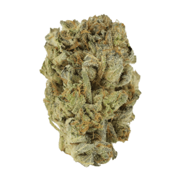 Mimosa Punch | Kootenay Botanicals Canada