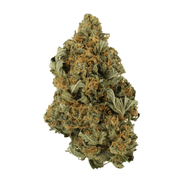 God’s Bubba | Kootenay Botanicals Canada