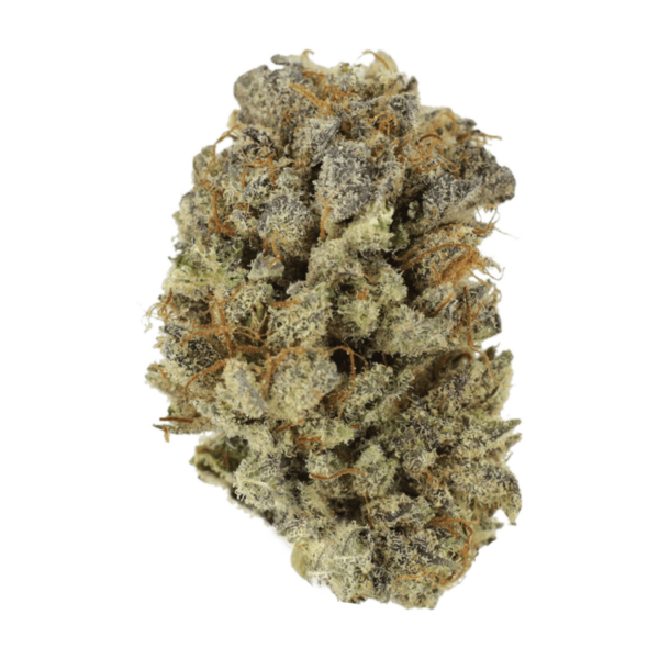 Mimosa Punch | Kootenay Botanicals Canada