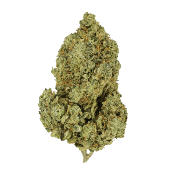 Scooby Snacks | Kootenay Botanicals Canada