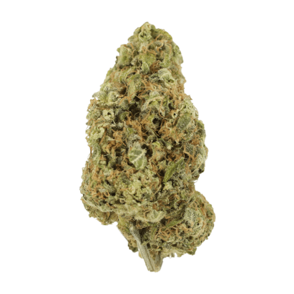 Sour Jack | Kootenay Botanicals Canada