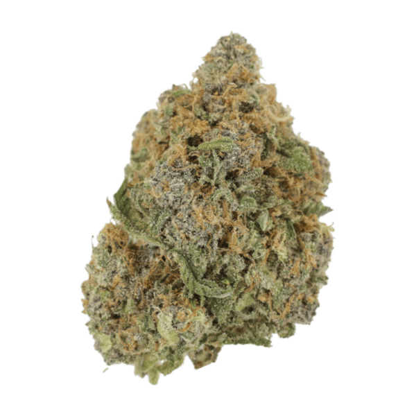 Jagermeister | Kootenay Botanicals Canada