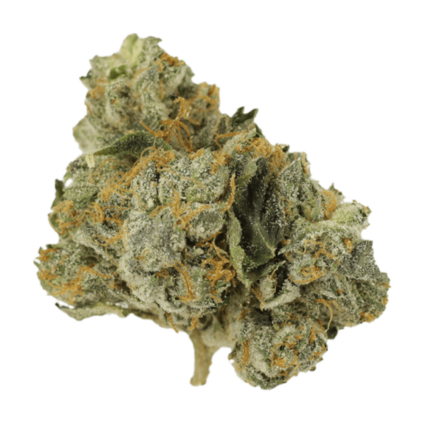 Mango Cream | Kootenay Botanicals Canada