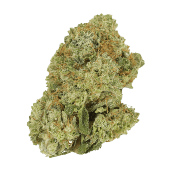Green Lantern | Kootenay Botanicals Canada