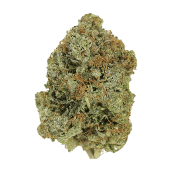 Watermelon Gelato | Kootenay Botanicals Canada