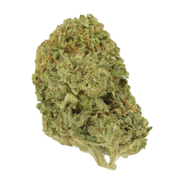 Mango Cream | Kootenay Botanicals Canada