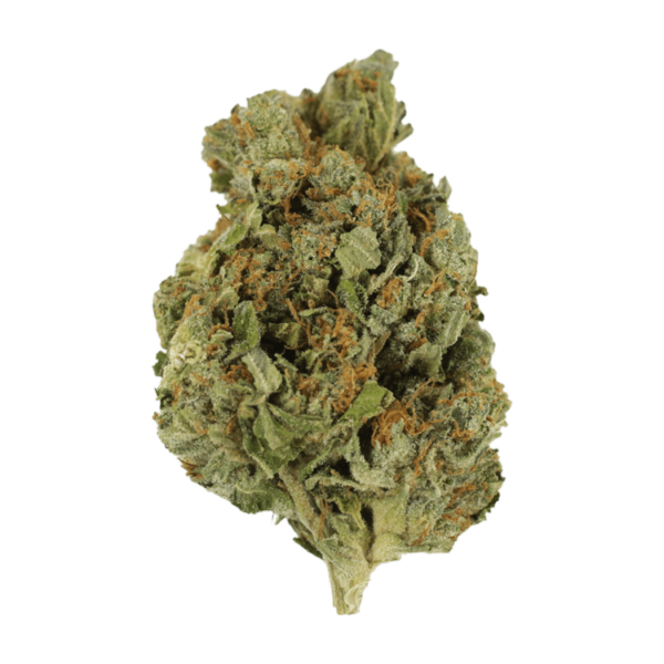 Mango Cream | Kootenay Botanicals Canada