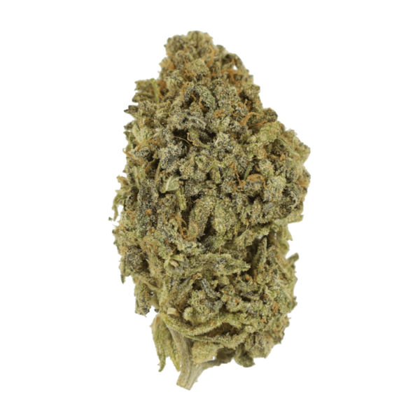Watermelon Gelato | Kootenay Botanicals Canada