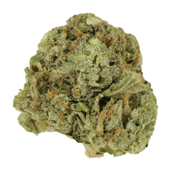 Mango Cream | Kootenay Botanicals Canada