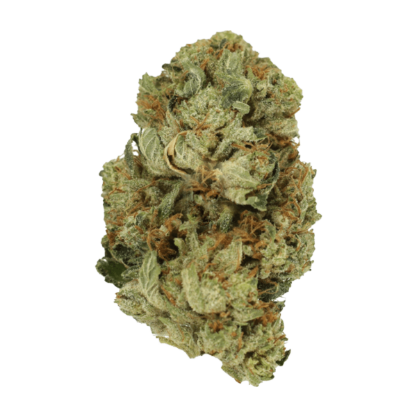 Pink Starburst | Kootenay Botanicals Canada