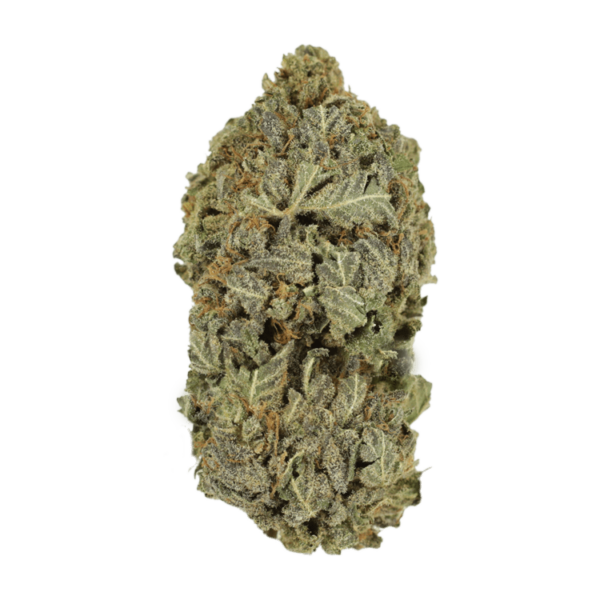 Purple Dream | Kootenay Botanicals Canada